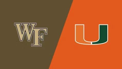 们的身体能 们的身体能